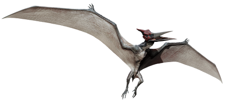 pteranodon-info-graphic.png