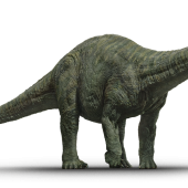 Apatosaurus1440x651_0014_.png