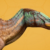 Edmontosaurus_960x540.jpg