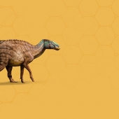 Edmontosaurus_header.jpg