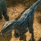 Jurassicvault_JW_4kHD_066.jpg