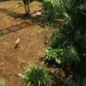 Jurassicvault_JW_4kHD_ADD_418.jpg