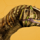 Metriacanthosaurus_960x540.jpg