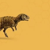 Metriacanthosaurus_header.jpg