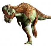 Pachycephalosaurus_4.jpg