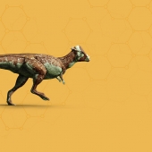 Pachycephalosaurus_header.jpg