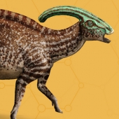 Parasaurolophus.jpg