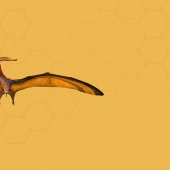 Pteranodon_header.jpg