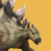 Stegosaurus.jpg