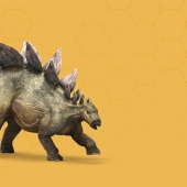 Stegosaurus_header.jpg