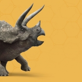 Triceratopsheader_header.jpg