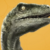 Velociraptor_960x540.jpg