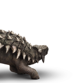 ankylosaurus-info-graphic.png