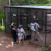 aviary-entrance.jpg