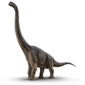 brachiosaurus1440x651_0010_.png