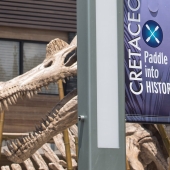 cretaceous-cruise-banner.jpg