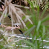 cretaceous-cruise-guy-kayaking.jpg