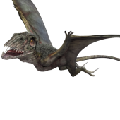 dimorphodon-detail-header.png