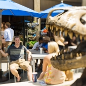 dinosaur-skull-main-street.jpg