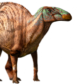 edmontosaurus-info-graphic.png