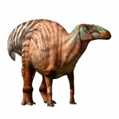 edmontosaurustall.jpg