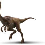 gallimimus_01440x651_0008_.png