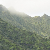 green-mountains-softly-blanketed-by-morning-fog.jpg