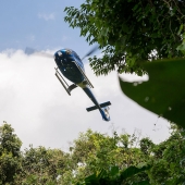 helicopter-jungle.jpg