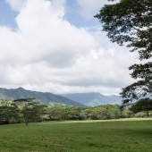 isla-nublar-valley.jpg