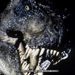 jurassicvault_JP_stills_326.jpg