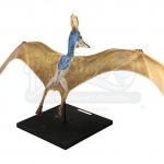 jurassicvault_TLW_models_561.jpg