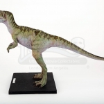 jurassicvault_TLW_models_567.jpg