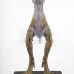 jurassicvault_TLW_models_568.jpg