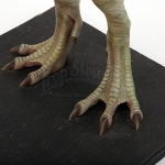 jurassicvault_TLW_models_579.jpg