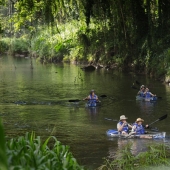 kayakers.jpg