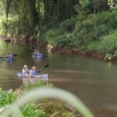 kayaking-cretaceous-cruise.jpg