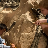 kid-digging-for-dinosaurs.jpg