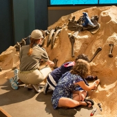 kids-playing-with-fossils.jpg