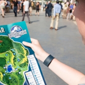 looking-at-park-map.jpg