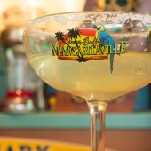 margaritaville-cup2.jpg