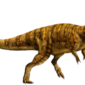 metriacanthosaurus-detail-header.png
