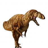 metriacanthosaurustall.jpg