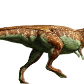 pachycephalosaurus-detail-header.png