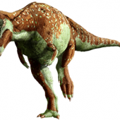 pachycephalosaurus-info-graphic.png