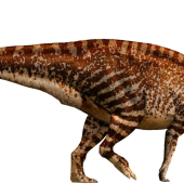 parasaurolophus-detail-header.png