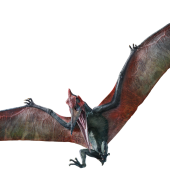 pteranodon_01440x651_0004_.png