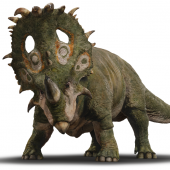 sinoceratops_01440x651_0005_.png