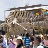 skeleton-exterior.jpg