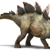 stegosaurus-detail-header.png