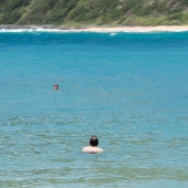 swimming-in-the-ocean.jpg